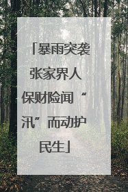 暴雨突袭 张家界人保财险闻“汛”而动护民生