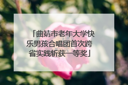 曲靖市老年大学快乐男孩合唱团首次跨省实践斩获一等奖