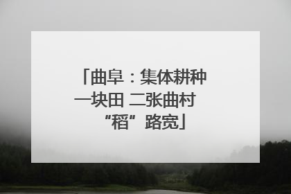 曲阜：集体耕种一块田 二张曲村“稻”路宽