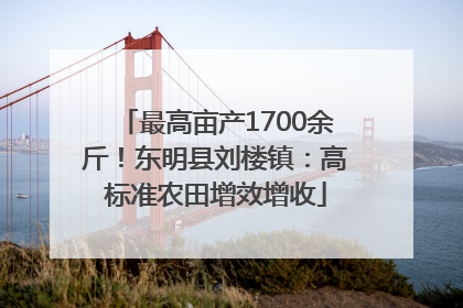 最高亩产1700余斤！东明县刘楼镇：高标准农田增效增收