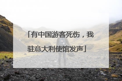 有中国游客死伤，我驻意大利使馆发声