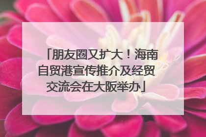 朋友圈又扩大！海南自贸港宣传推介及经贸交流会在大阪举办