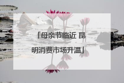 母亲节临近 昆明消费市场升温