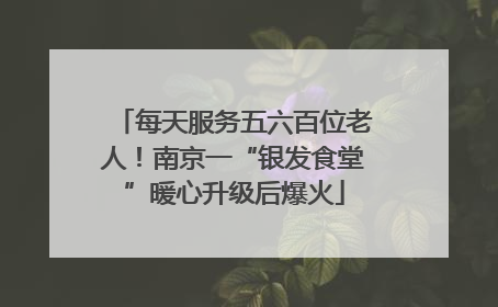 每天服务五六百位老人！南京一“银发食堂”暖心升级后爆火