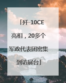 歼-10CE亮相，20多个军政代表团密集到访展台