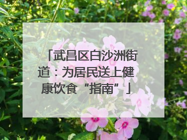 武昌区白沙洲街道：为居民送上健康饮食“指南”