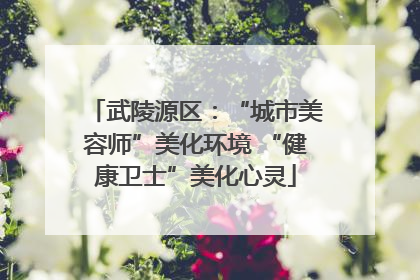 武陵源区：“城市美容师”美化环境 “健康卫士”美化心灵
