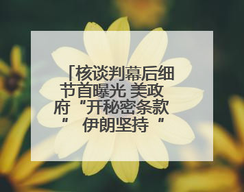 核谈判幕后细节首曝光 美政府“开秘密条款” 伊朗坚持“三大底线”