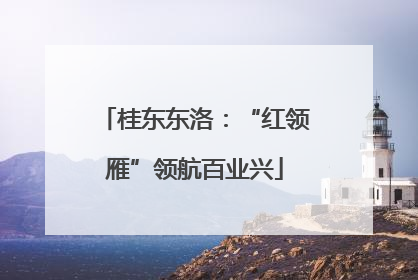 桂东东洛：“红领雁”领航百业兴