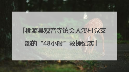 桃源县观音寺镇会人溪村党支部的“48小时”救援纪实