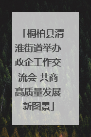 桐柏县清淮街道举办政企工作交流会 共商高质量发展新图景