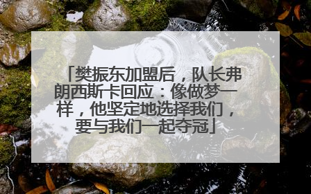 樊振东加盟后，队长弗朗西斯卡回应：像做梦一样，他坚定地选择我们，要与我们一起夺冠