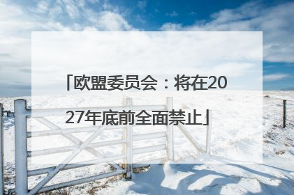 欧盟委员会：将在2027年底前全面禁止