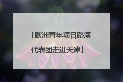 欧洲青年项目路演代表团走进天津