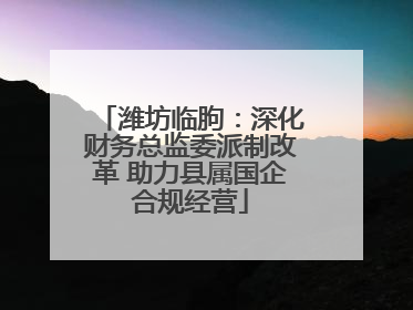 潍坊临朐：深化财务总监委派制改革 助力县属国企合规经营