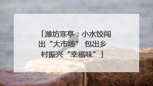 潍坊寒亭：小水饺闯出“大市场” 包出乡村振兴“幸福味”