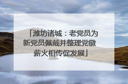 潍坊诸城：老党员为新党员佩戴并整理党徽 薪火相传促发展