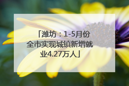 潍坊：1-5月份全市实现城镇新增就业4.27万人