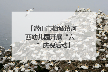 潜山市梅城镇河西幼儿园开展“六一”庆祝活动