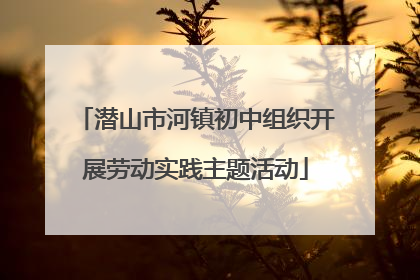 潜山市河镇初中组织开展劳动实践主题活动
