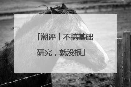 潮评丨不搞基础研究，就没根