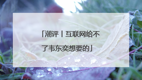 潮评丨互联网给不了韦东奕想要的