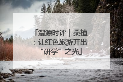 澧源时评｜桑植：让红色旅游开出“研学”之光