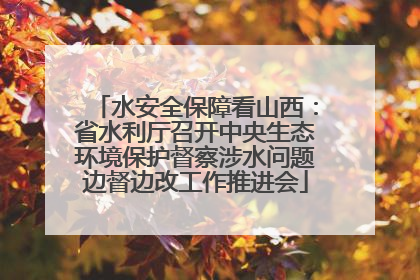 水安全保障看山西：省水利厅召开中央生态环境保护督察涉水问题边督边改工作推进会