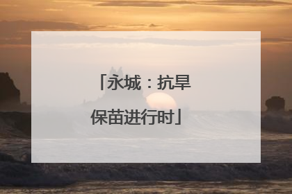 永城：抗旱保苗进行时
