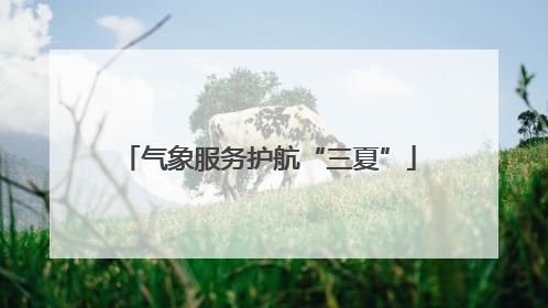 气象服务护航“三夏”
