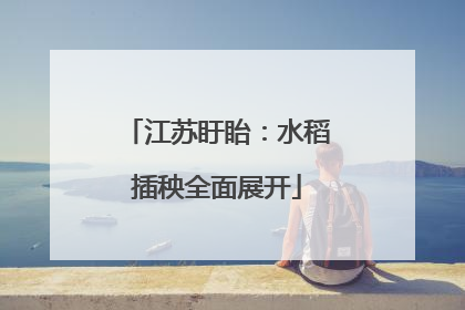 江苏盱眙：水稻插秧全面展开