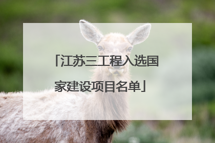 江苏三工程入选国家建设项目名单