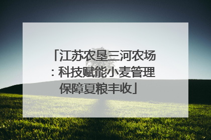 江苏农垦三河农场：科技赋能小麦管理保障夏粮丰收