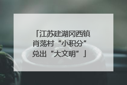 江苏建湖冈西镇肖荡村“小积分”兑出“大文明”