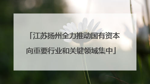 江苏扬州全力推动国有资本向重要行业和关键领域集中