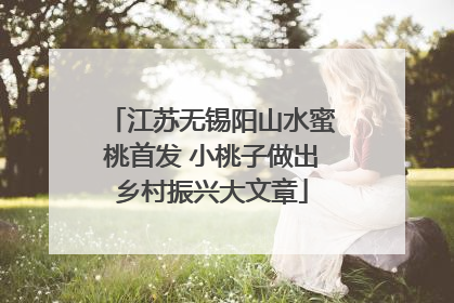 江苏无锡阳山水蜜桃首发 小桃子做出乡村振兴大文章