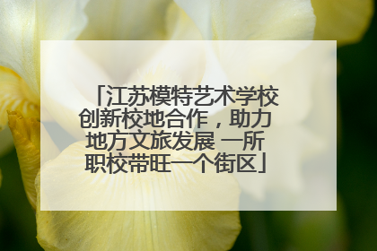 江苏模特艺术学校创新校地合作，助力地方文旅发展 一所职校带旺一个街区