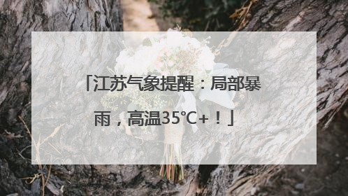 江苏气象提醒：局部暴雨，高温35℃+！
