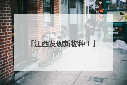 江西发现新物种！