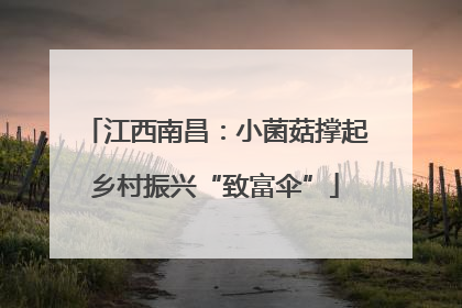 江西南昌：小菌菇撑起乡村振兴“致富伞”