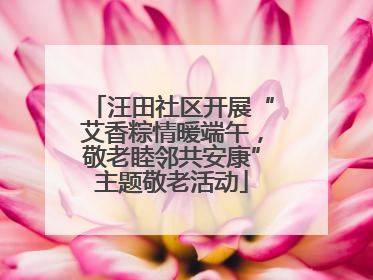 汪田社区开展“艾香粽情暖端午，敬老睦邻共安康”主题敬老活动