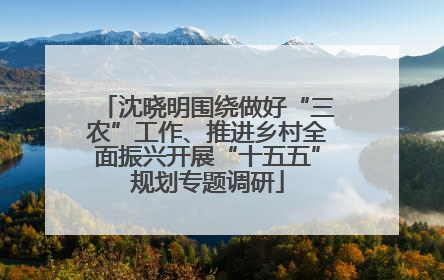 沈晓明围绕做好“三农”工作、推进乡村全面振兴开展“十五五”规划专题调研