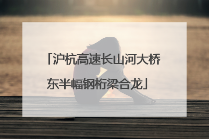 沪杭高速长山河大桥东半幅钢桁梁合龙