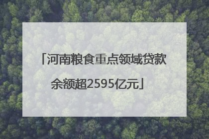 河南粮食重点领域贷款余额超2595亿元