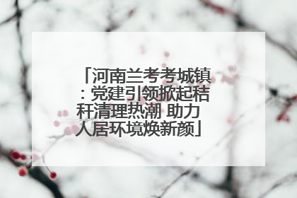 河南兰考考城镇：党建引领掀起秸秆清理热潮 助力人居环境焕新颜