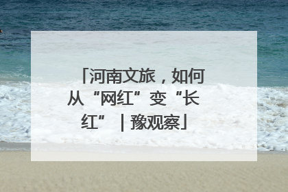 河南文旅，如何从“网红”变“长红”｜豫观察
