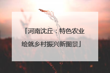 河南沈丘：特色农业绘就乡村振兴新图景