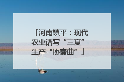 河南镇平：现代农业谱写“三夏”生产“协奏曲”