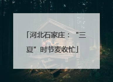河北石家庄：“三夏”时节麦收忙
