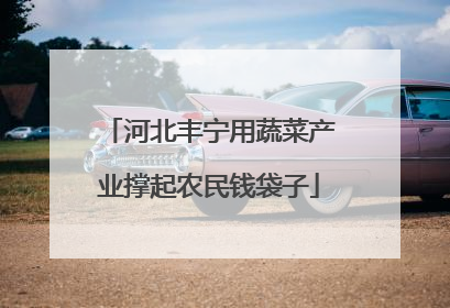 河北丰宁用蔬菜产业撑起农民钱袋子